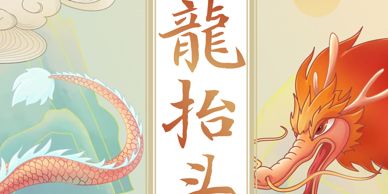 画梦四季｜龙抬头_画梦网络--网站建设 小程序开发 品牌设计 新媒体营销