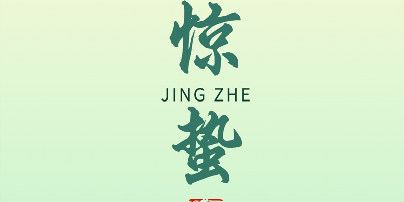 画梦四季｜惊蛰_画梦网络--网站建设 小程序开发 品牌设计 新媒体营销
