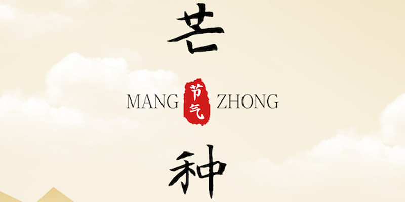 画梦四季｜芒种_画梦网络--网站建设 小程序开发 品牌设计 新媒体营销