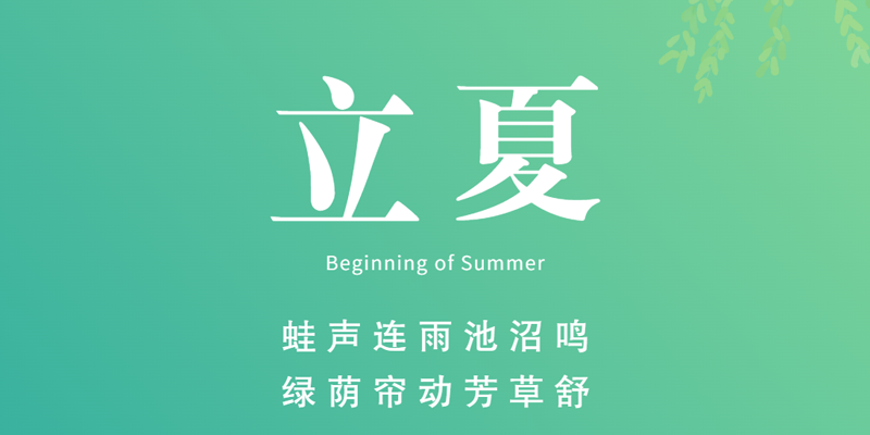 画梦四季｜立夏_画梦网络--网站建设 小程序开发 品牌设计 新媒体营销