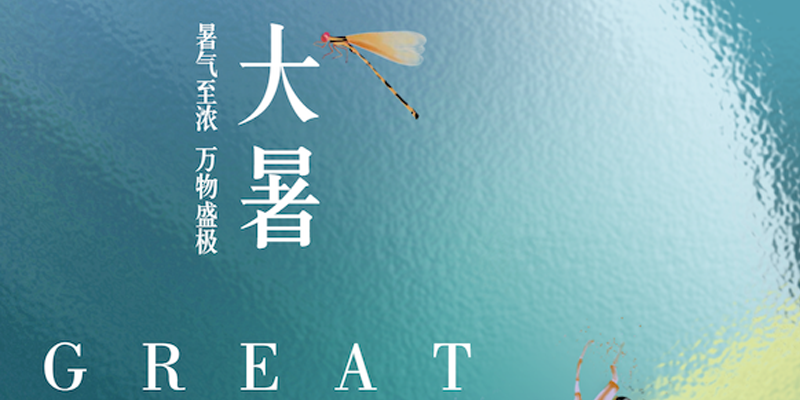 画梦四季｜大暑_画梦网络--网站建设 小程序开发 品牌设计 新媒体营销